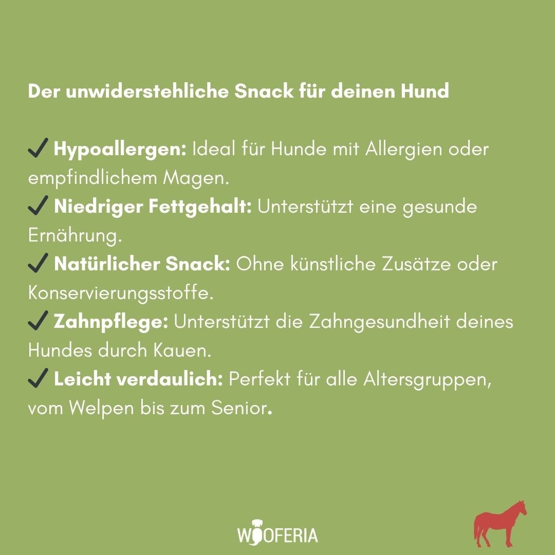 Grüne Infografik mit Checkliste: Hypoallergen, geringer Fettgehalt, natürlich, Zahnpflege; WOOFERIA-Logo und rotes Pferd.