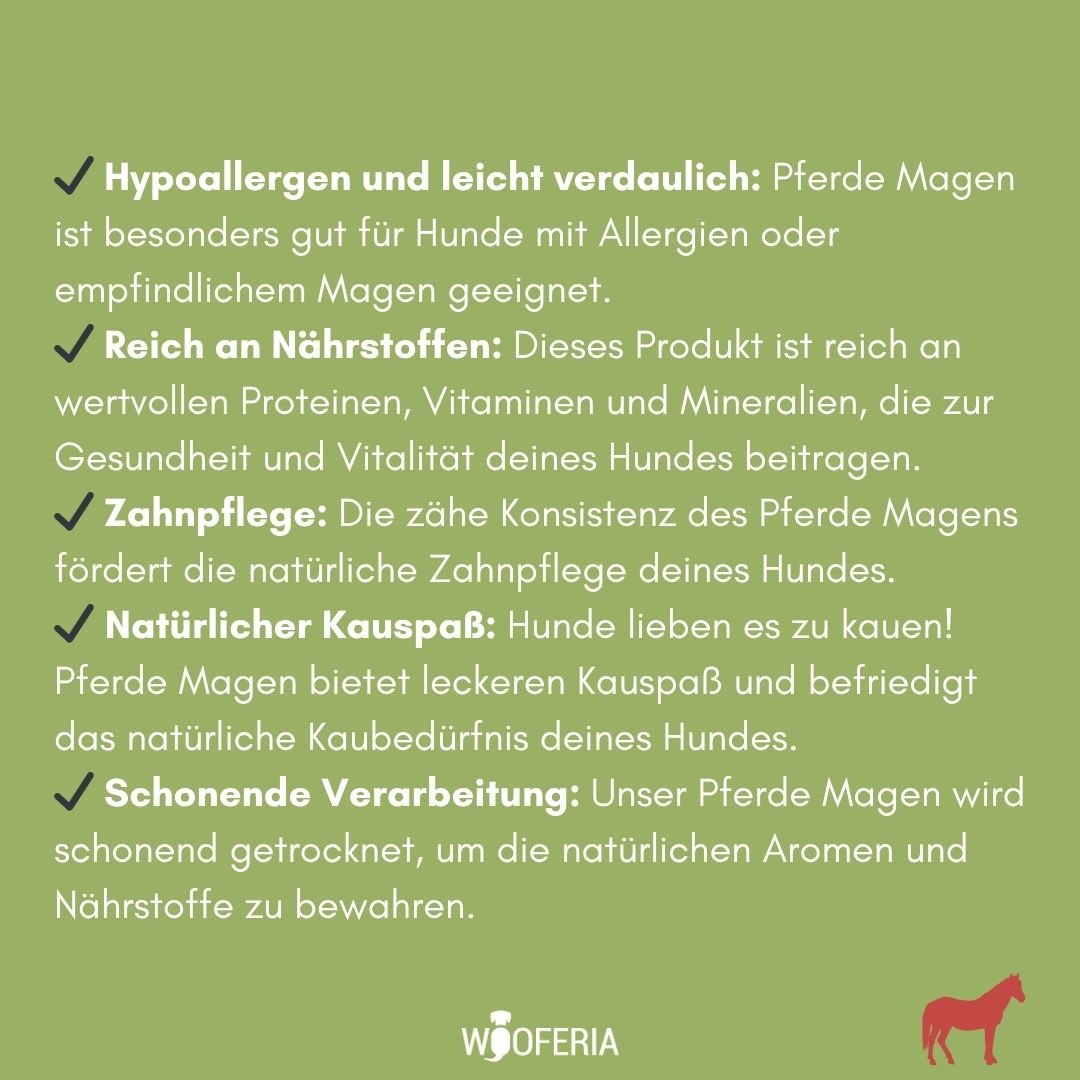 Grüne Infografik mit weißen Stichpunkten zu Pferde Magen, Häkchen, WOOFERIA-Logo und rotem Pferdesymbol