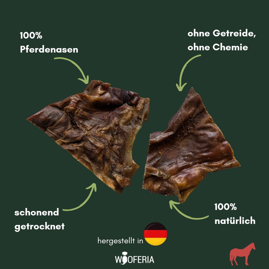 Zwei getrocknete braune Pferdenasen‑Platten, unregelmäßige flache Dreiecks‑Stücke, Draufsicht auf dunklem grünem Hintergrund