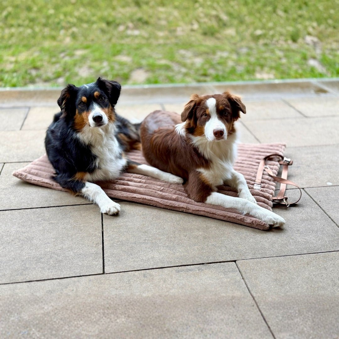 Reisedecke Premium Travel Mocha - WOOFED.