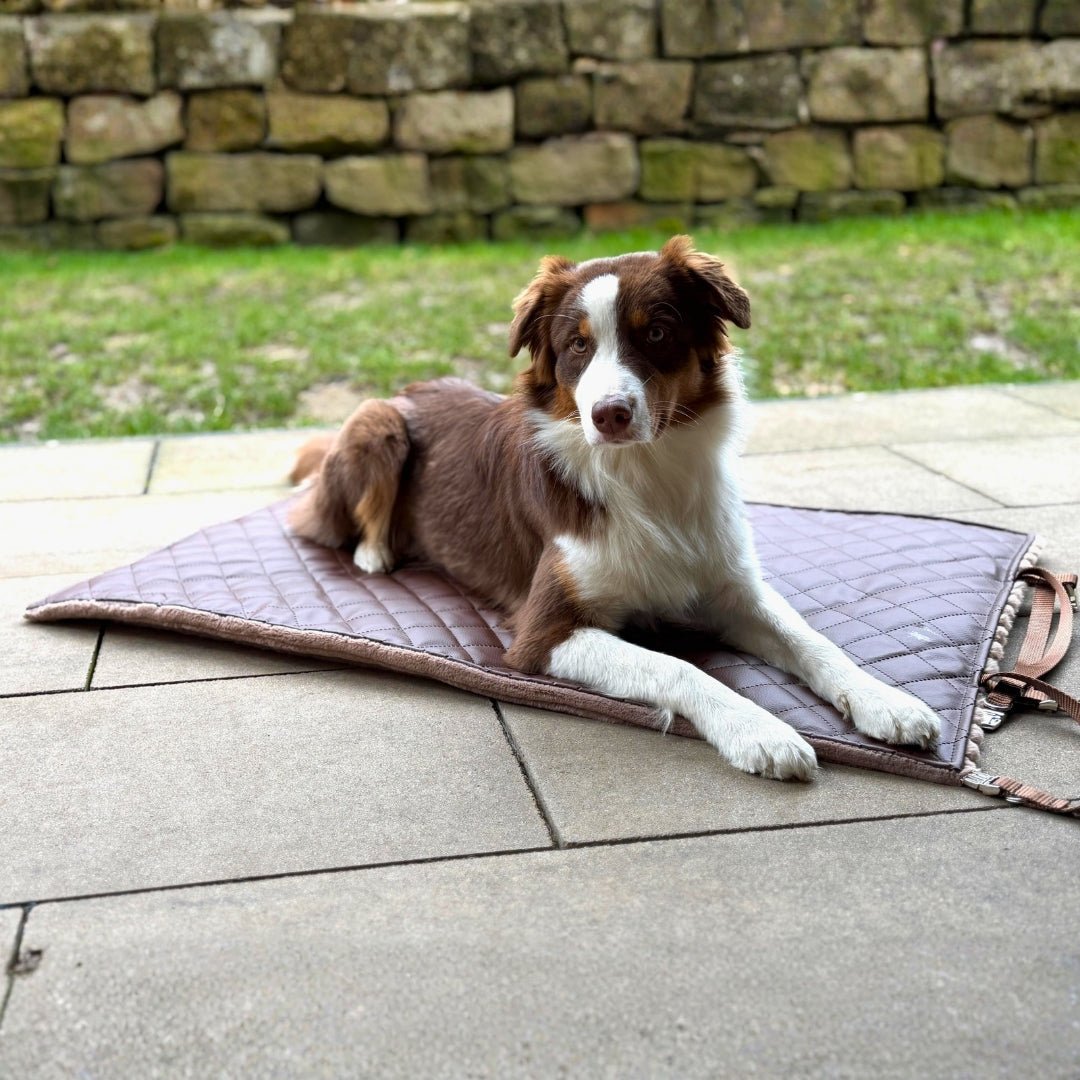 Reisedecke Premium Travel Mocha - WOOFED.