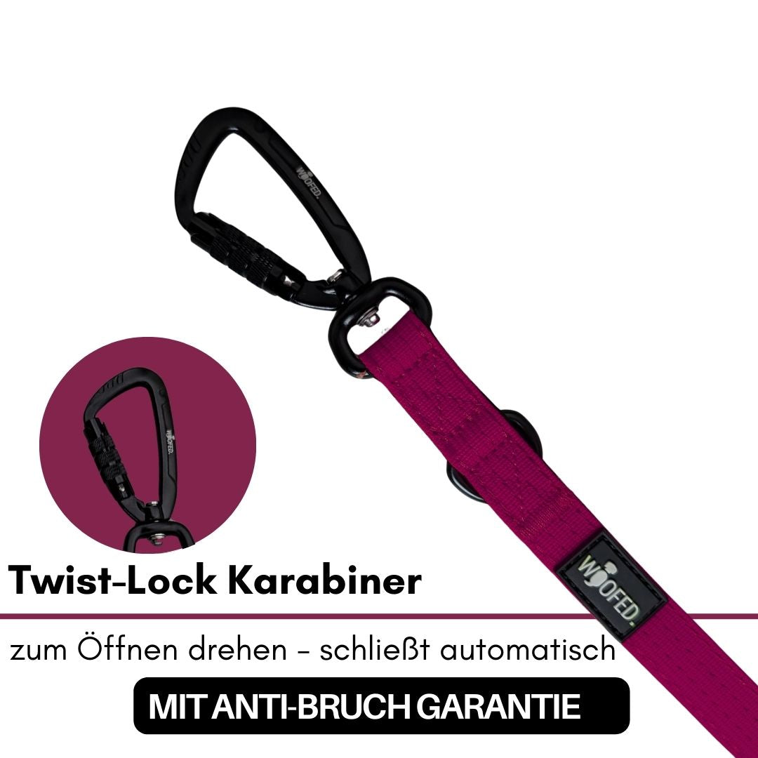 Nylon Pro Führleine Bordeaux