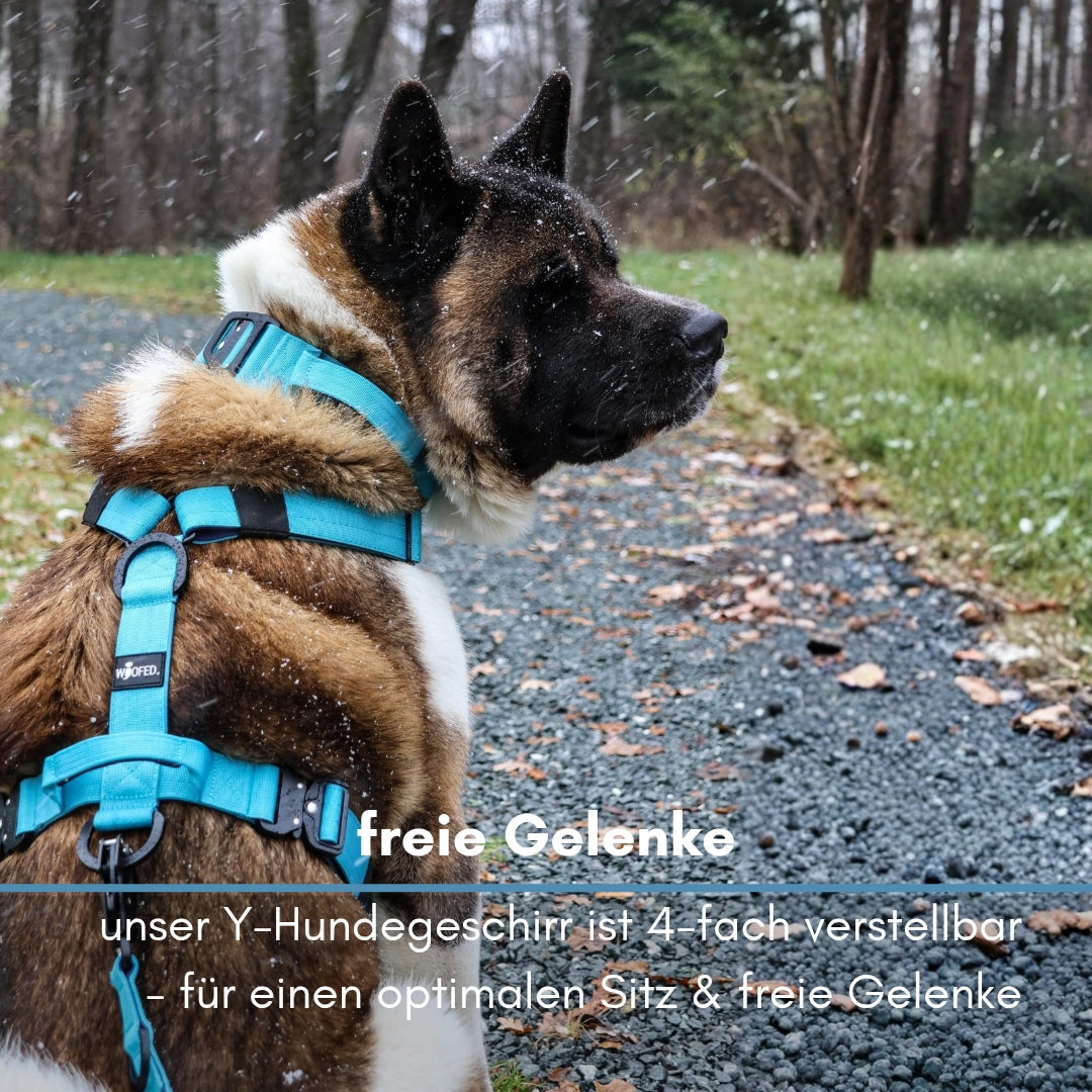 Y-Hundegeschirr 4fach-verstellbar mit Griff und Sicherheitsschnallen Arctic Sky - ultraleicht