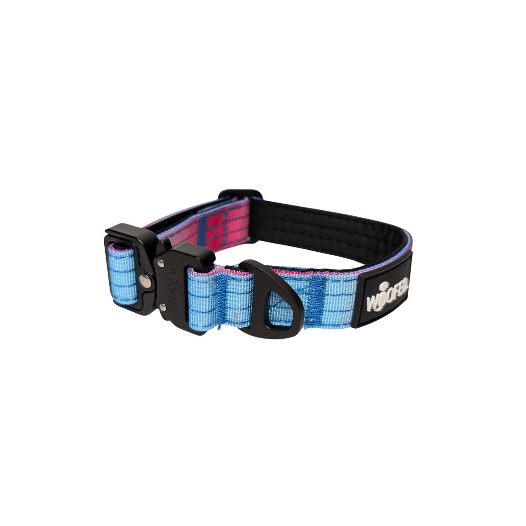 taktisches Nylon Halsband für kleine Hunde Pink Blue Sky