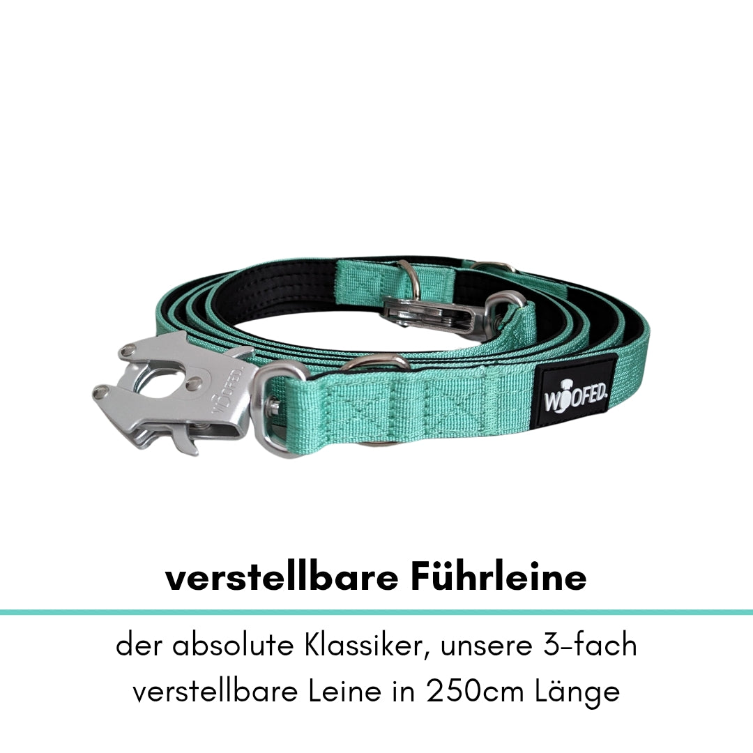 taktische Nylon Führleine Seafoam