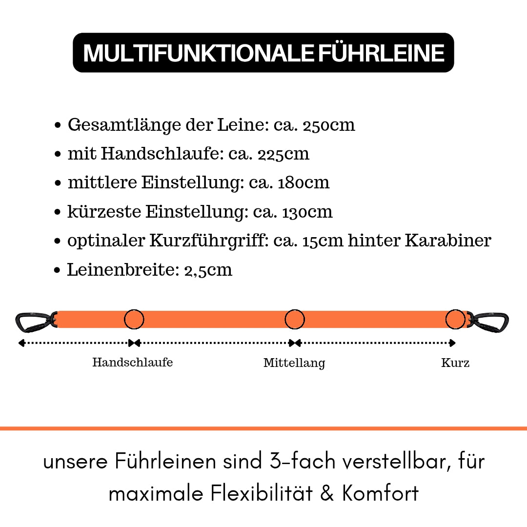 Nylon Pro Führleine Safety Orange