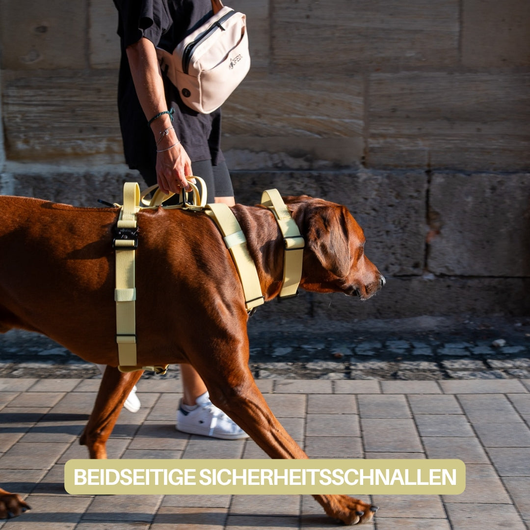 Y-Hundegeschirr WOOFLEX® 4fach-verstellbar mit Griff und Sicherheitsschnallen Lemon Grass - wasserfest