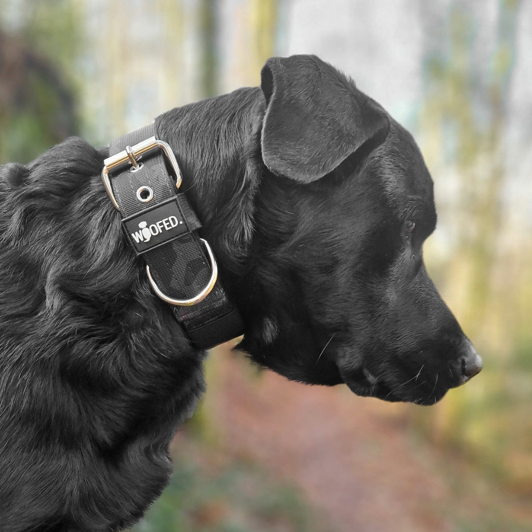Nylon Classic Halsband Black Camo