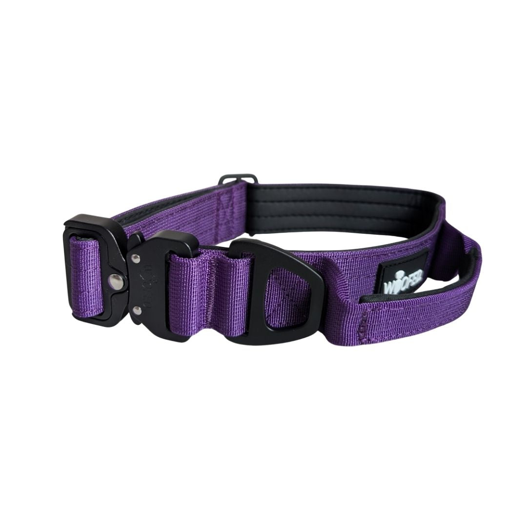 taktisches Nylon Halsband Velvet Purple - ultraleicht