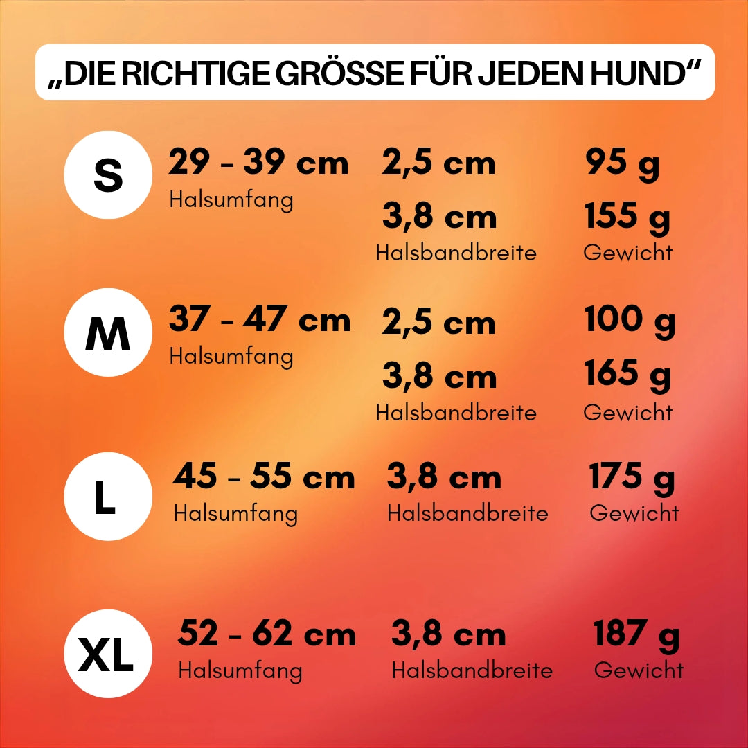 Größentabelle für Hundehalsband auf orange Farbverlauf – S, M, L, XL mit Halsumfang, Halsbandbreite und Gewicht