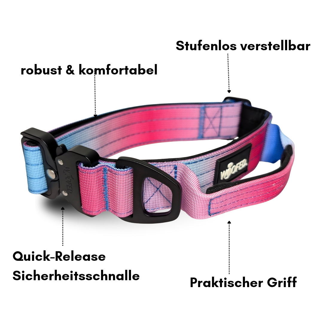 taktisches Nylon Halsband Pink Blue Sky - ultraleicht