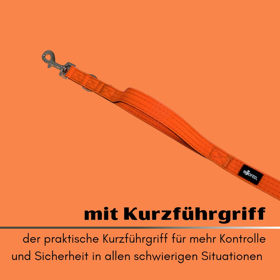 Nylon Classic Führleine Safety Orange
