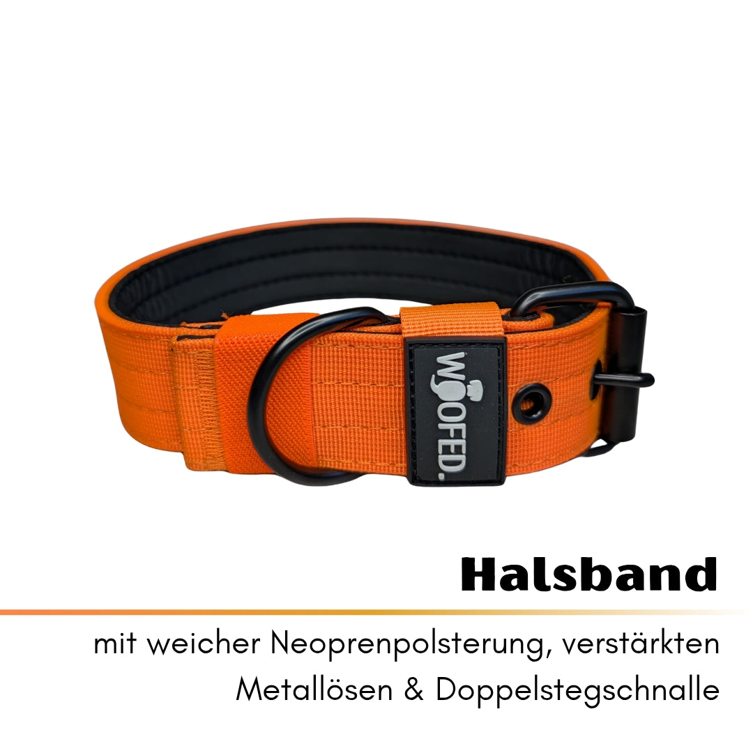 Nylon Classic Halsband-Leine-Set Safety Orange