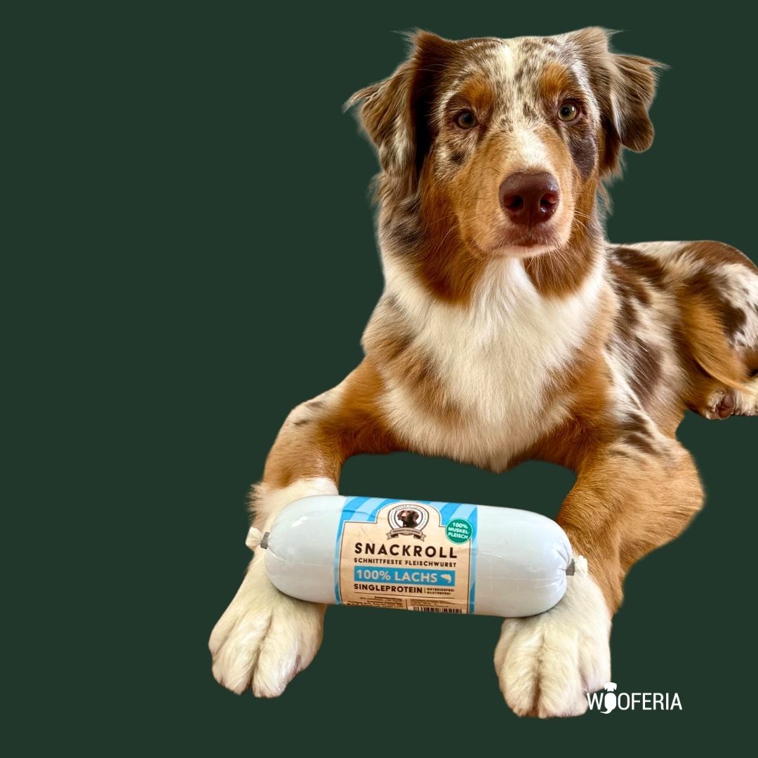 Hundewurst Lachs