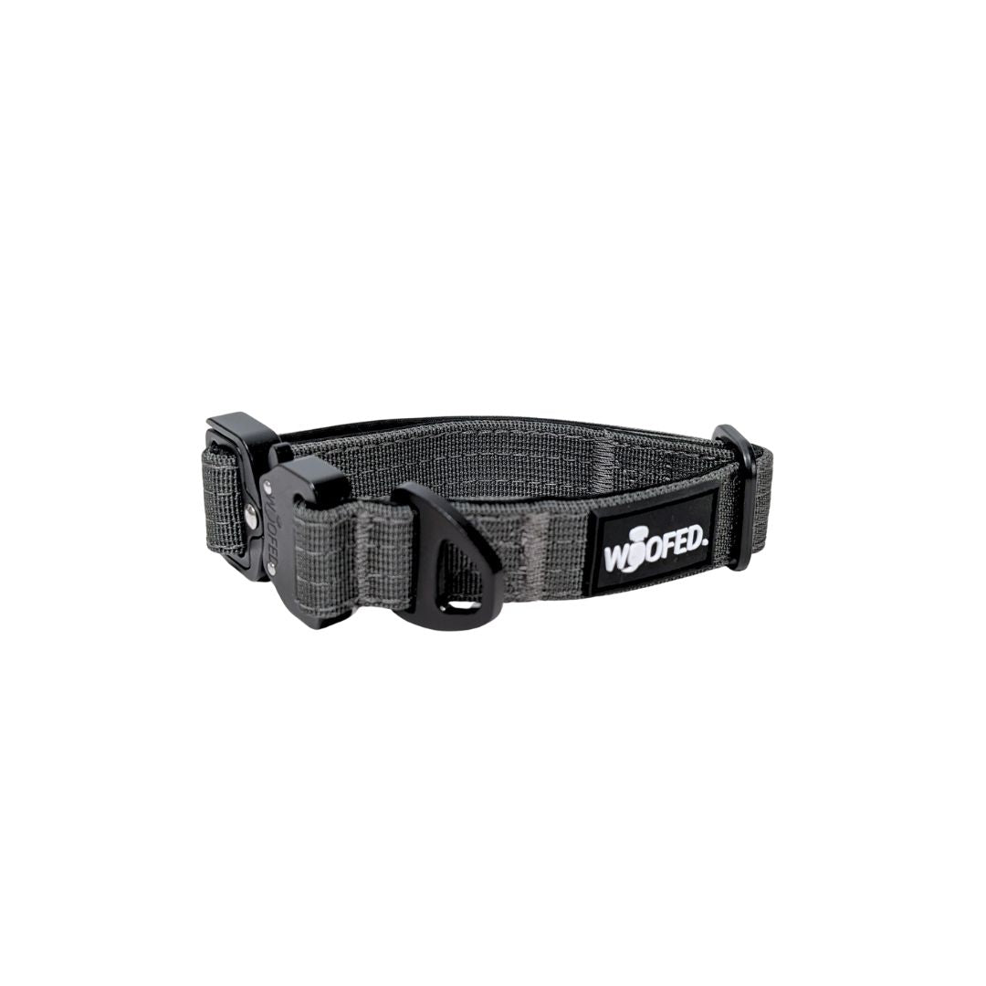 taktisches Nylon Halsband für kleine Hunde Anthracite