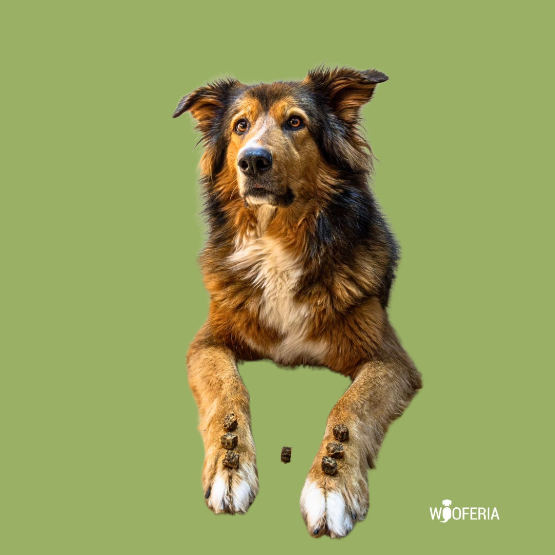 Rindfleisch Würfel PUR