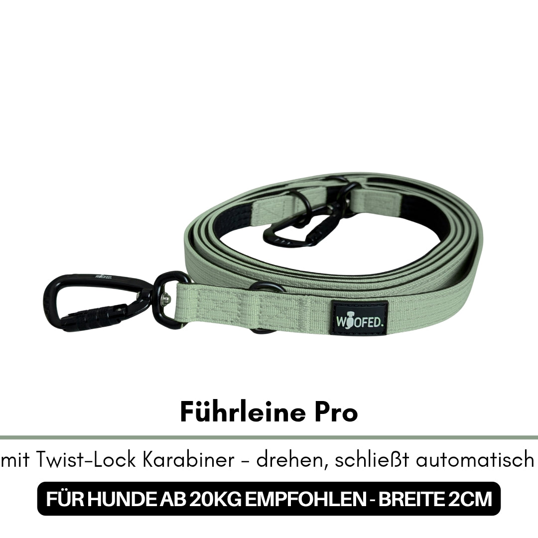 Aufgerollte sagegrüne Nylon-Leine in Draufsicht, schwarzer Twist-Lock-Karabiner und WOOFED-Label sichtbar