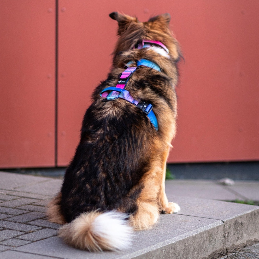 Y-Hundegeschirr 4fach-verstellbar mit Griff und Sicherheitsschnallen Pink Blue Sky - ultraleicht