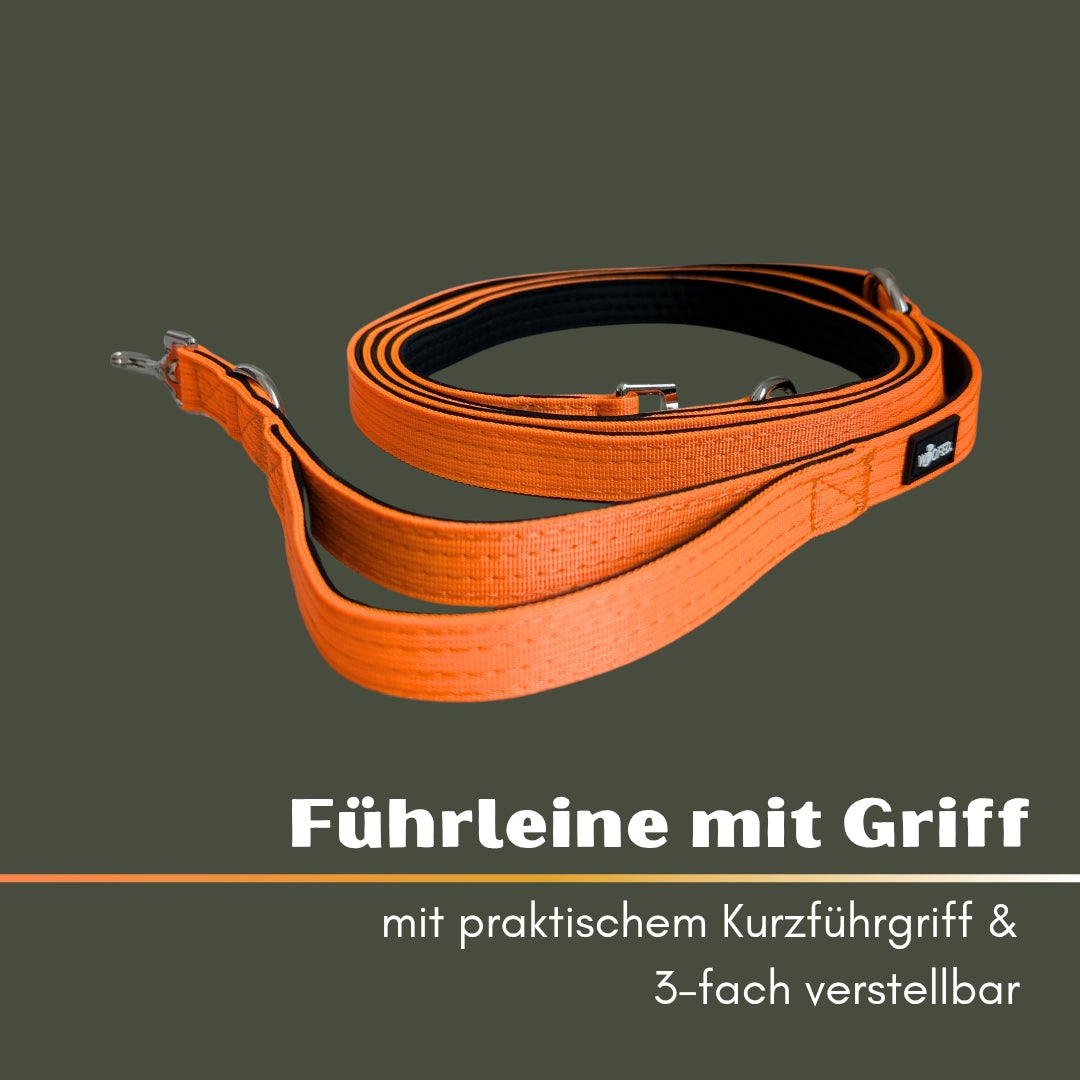 Nylon Classic Führleine Safety Orange