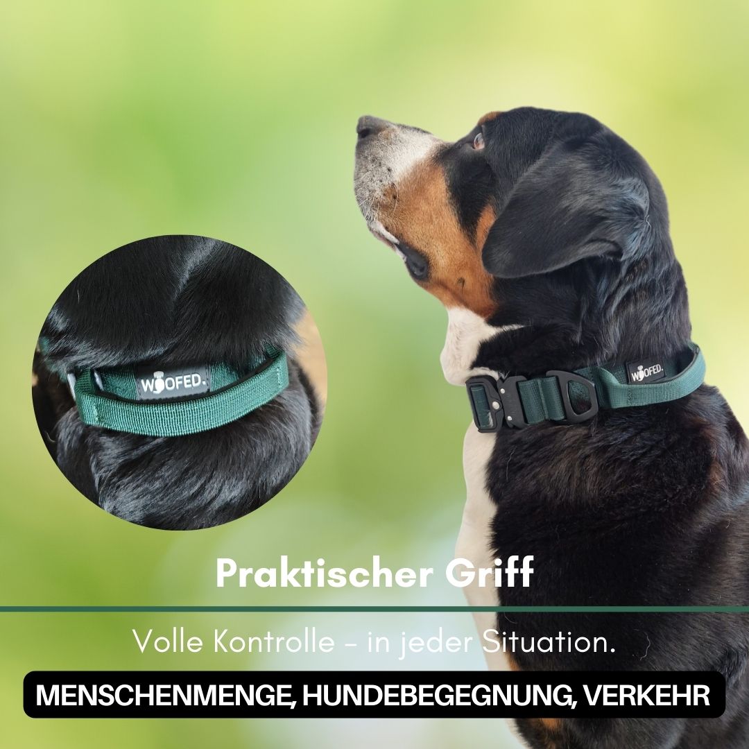 Nylon Halsband-Leine-Set Dark Green ultraleicht