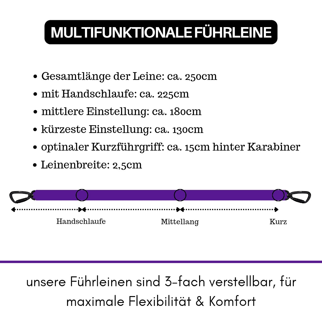 Nylon Pro Führleine Velvet Purple