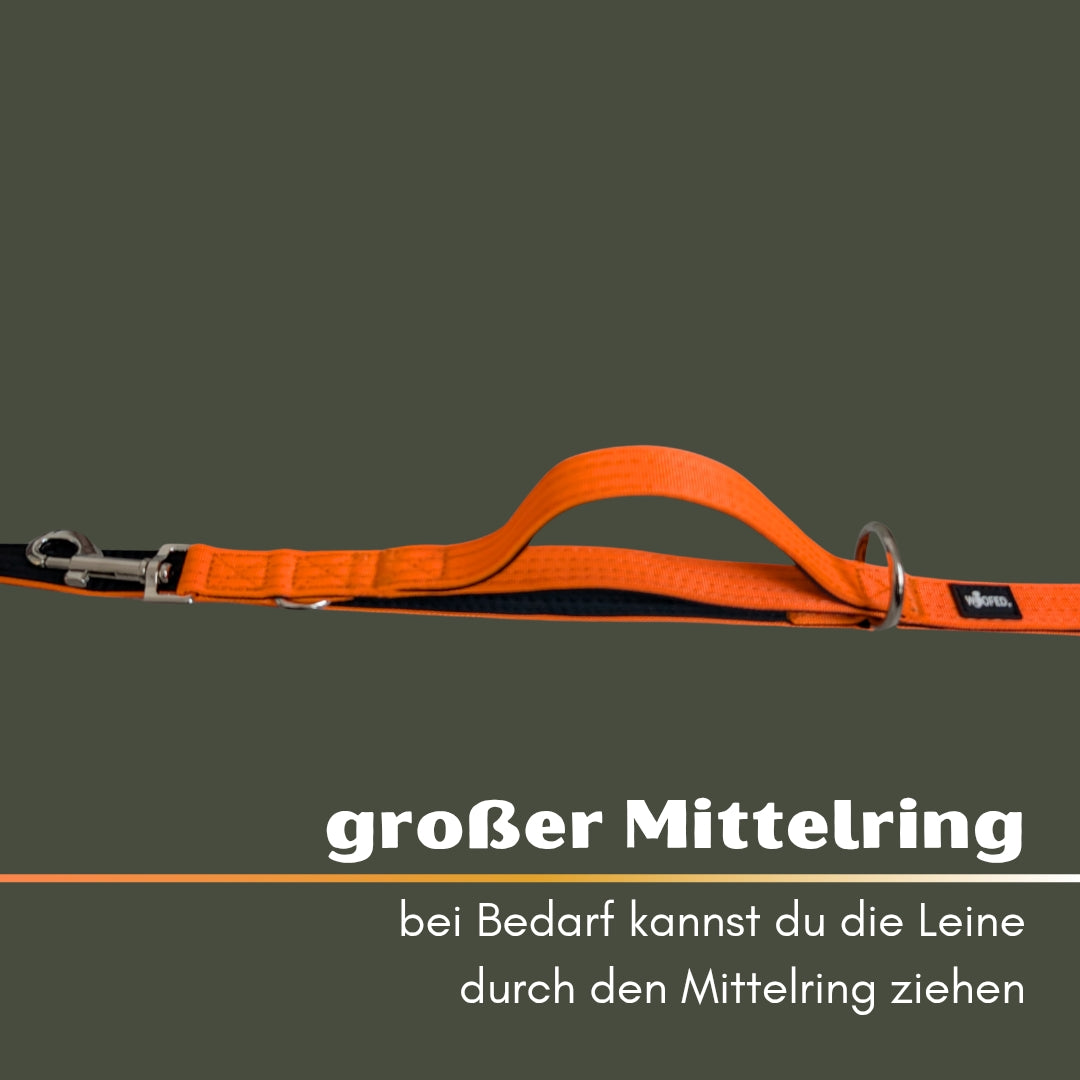 Nylon Classic Führleine Safety Orange
