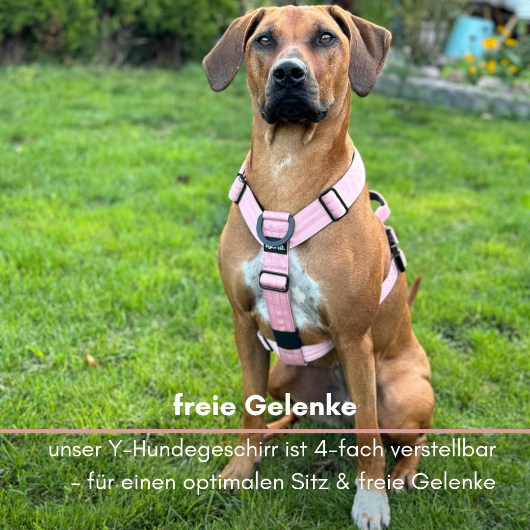 Y-Hundegeschirr 4fach-verstellbar mit Griff und Sicherheitsschnallen DUSTY ROSE - ultraleicht