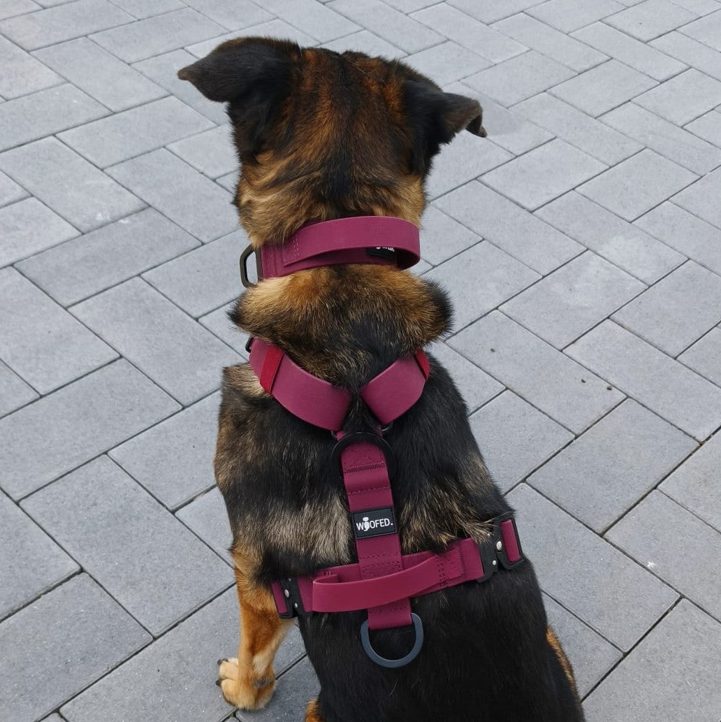 Y-Hundegeschirr WOOFLEX® 4fach-verstellbar mit Griff und Sicherheitsschnallen Burgundy - wasserfest