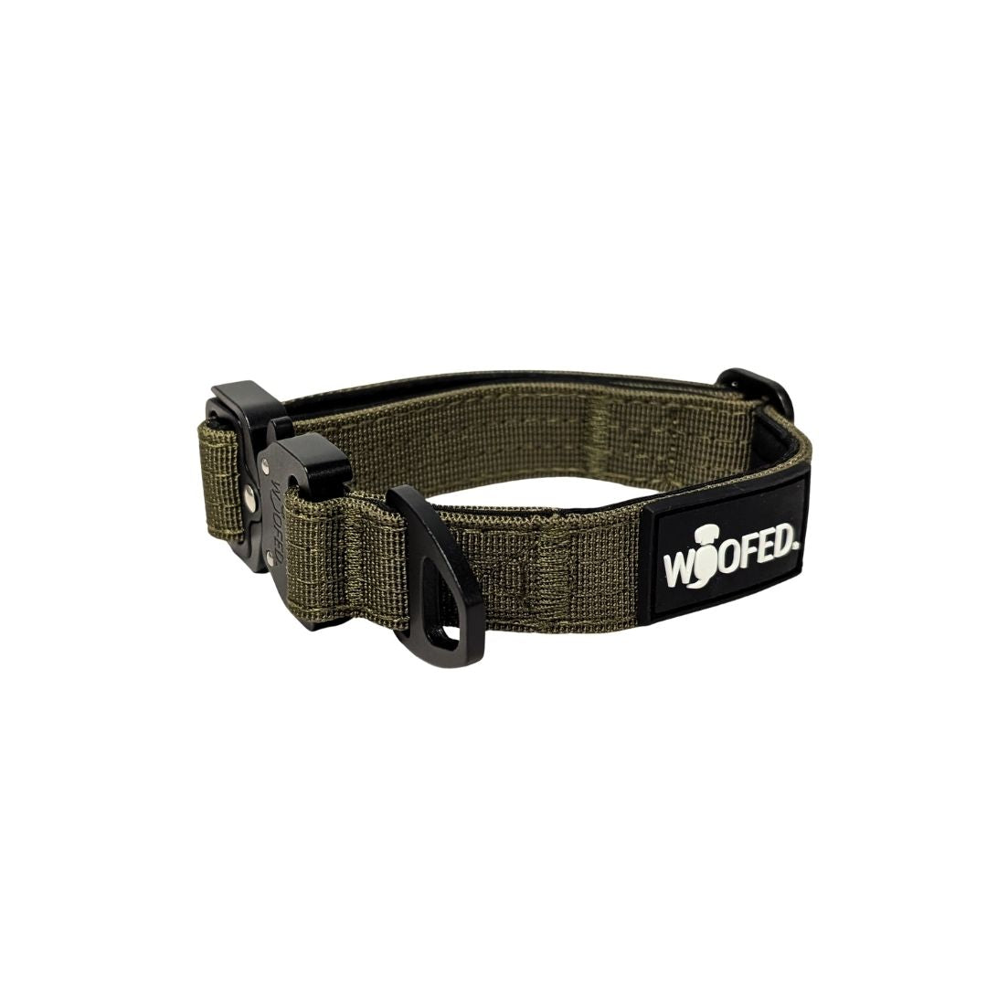 taktisches Nylon Halsband für kleine Hunde Military Olive