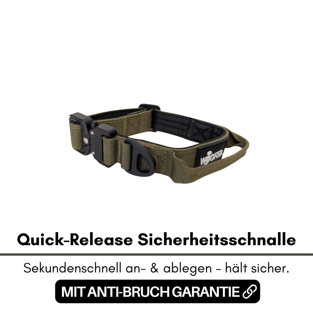 taktisches Nylon Halsband für kleine Hunde Military Olive