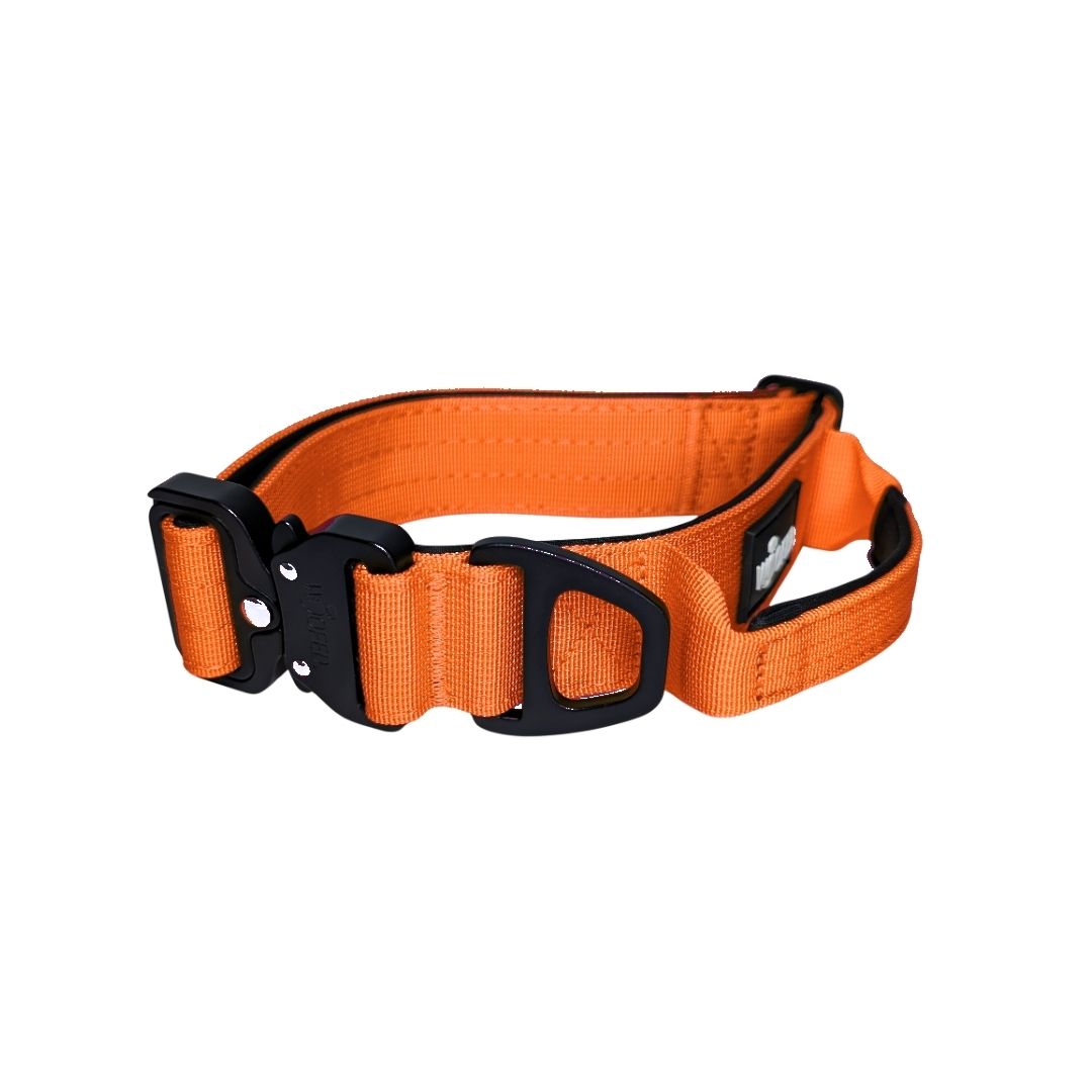 taktisches Nylon Halsband Safety Orange - ultraleicht
