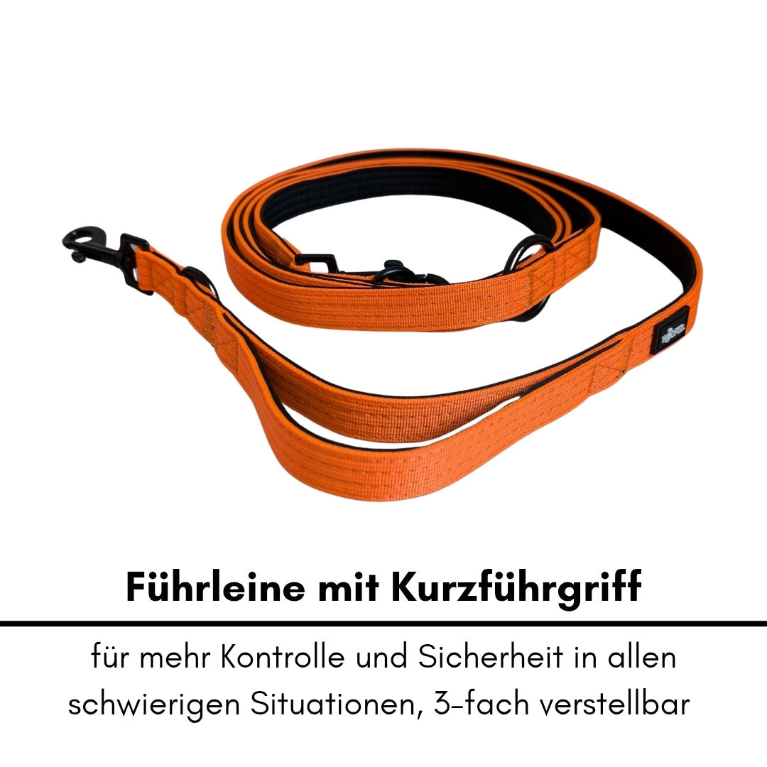 Nylon Classic Führleine Safety Orange