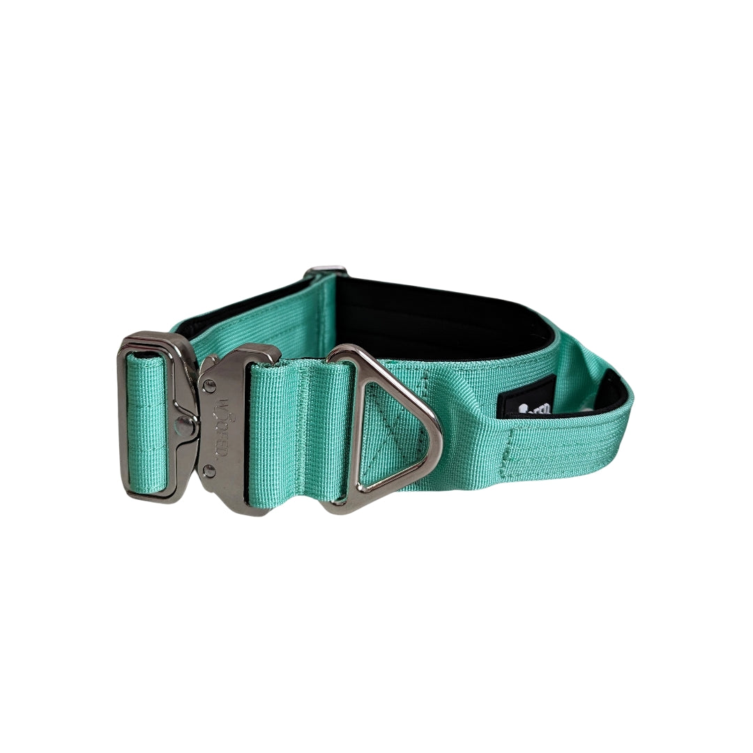taktisches Nylon Halsband Seafoam