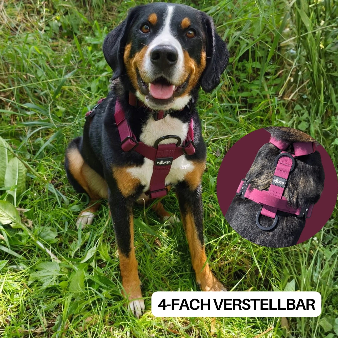 Y-Hundegeschirr WOOFLEX® 4fach-verstellbar mit Griff und Sicherheitsschnallen Burgundy - wasserfest