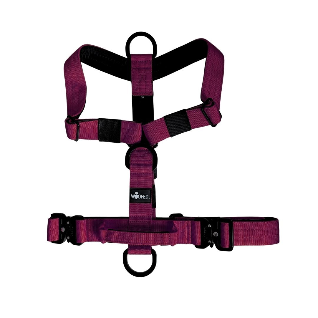 Y-Hundegeschirr 4fach-verstellbar mit Griff und Sicherheitsschnallen Bordeaux - ultraleicht