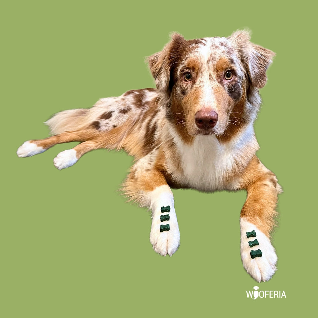 Gemüse Kartoffel Softies