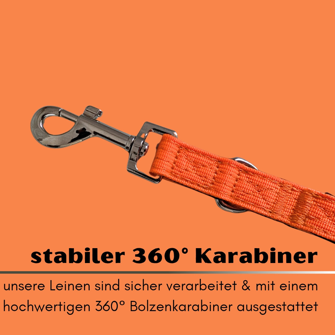 Nylon Classic Führleine Safety Orange