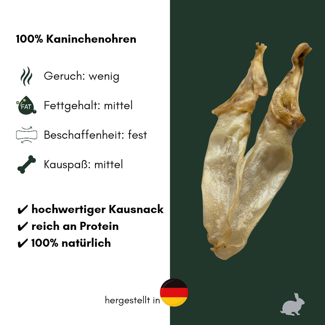 Kaninchenohren groß
