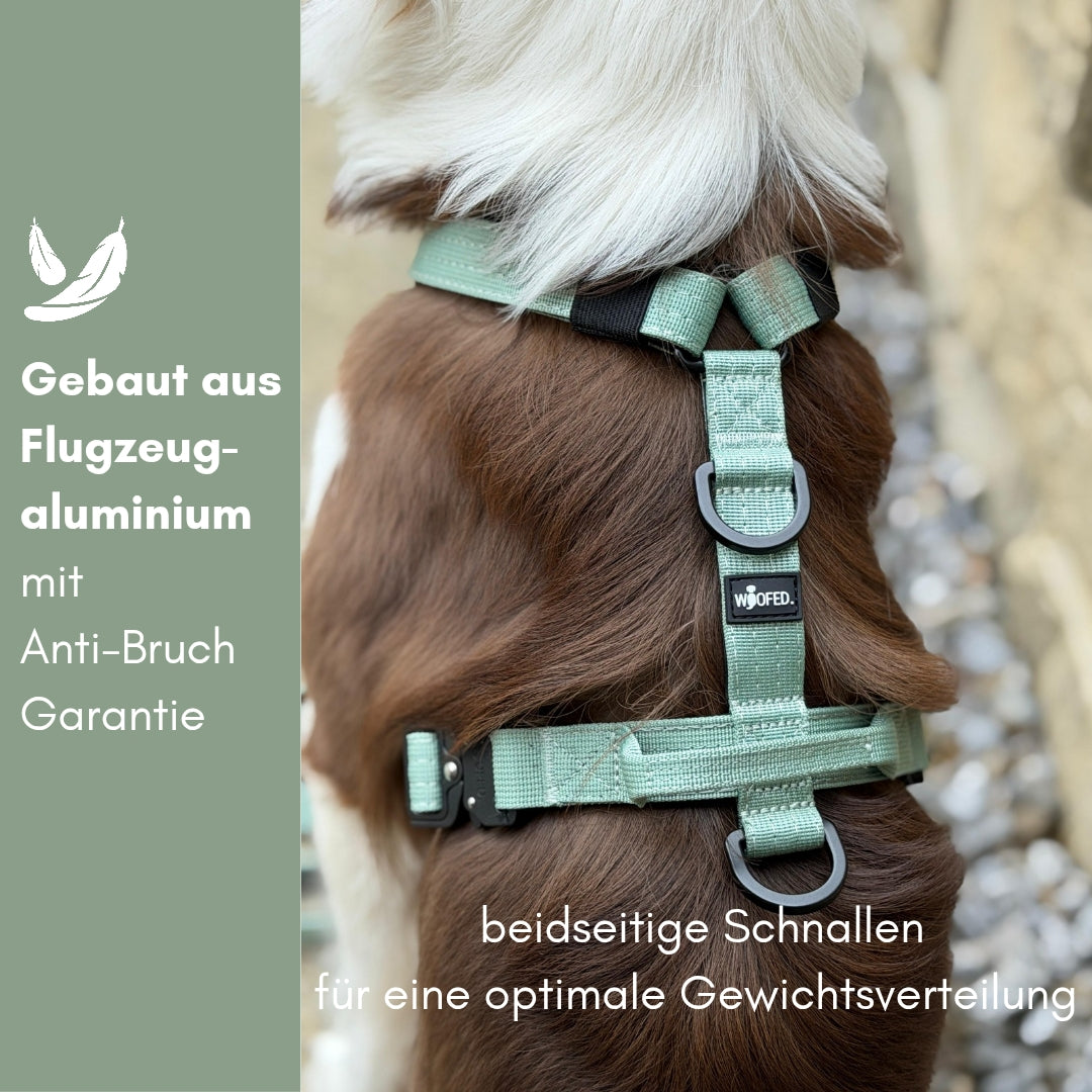 Y-Hundegeschirr 4fach-verstellbar mit Griff und Sicherheitsschnallen Sage Green - ultraleicht