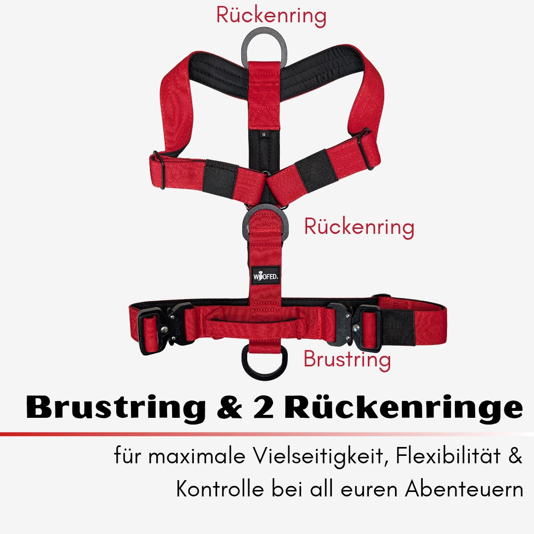 Y-Hundegeschirr 4fach-verstellbar mit Griff und Sicherheitsschnallen Rosso Red - ultraleicht