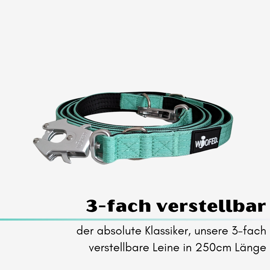 taktische Nylon Führleine Seafoam