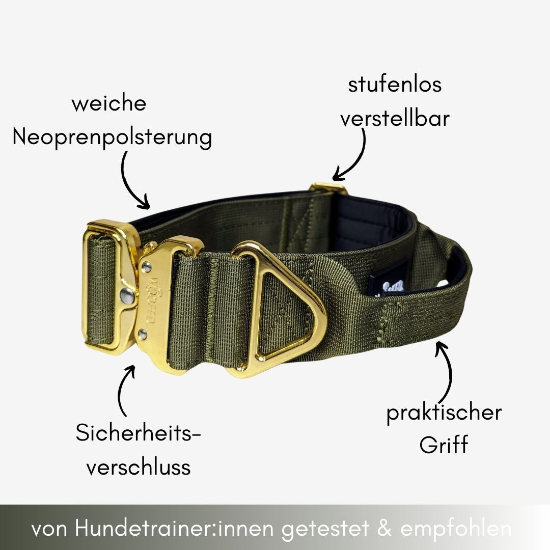 taktisches Nylon Halsband Noble Olive