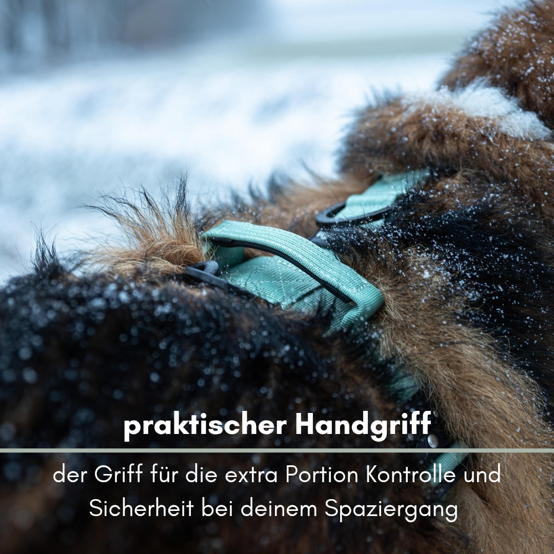 Y-Hundegeschirr 4fach-verstellbar mit Griff und Sicherheitsschnallen Sage Green - ultraleicht