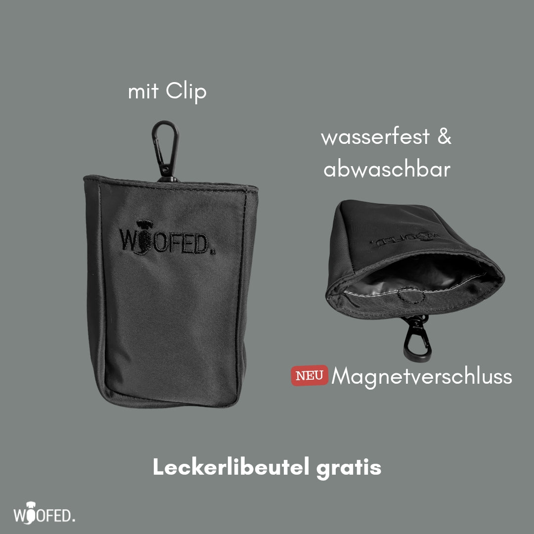 Multifunktionale Gassitasche - 2 in 1 Bauchtasche & Schultertasche Grey
