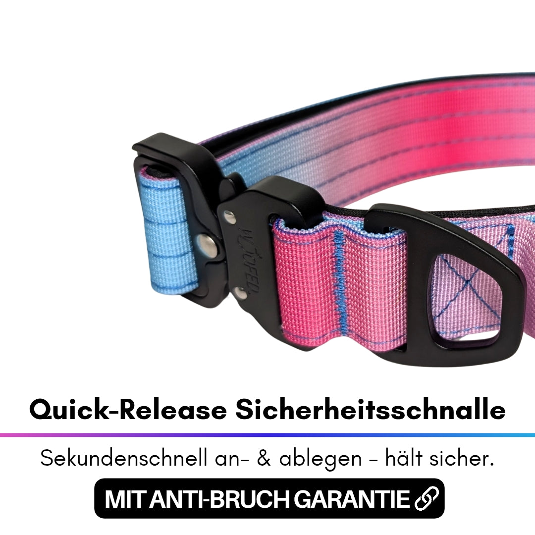 taktisches Nylon Halsband Pink Blue Sky - ultraleicht
