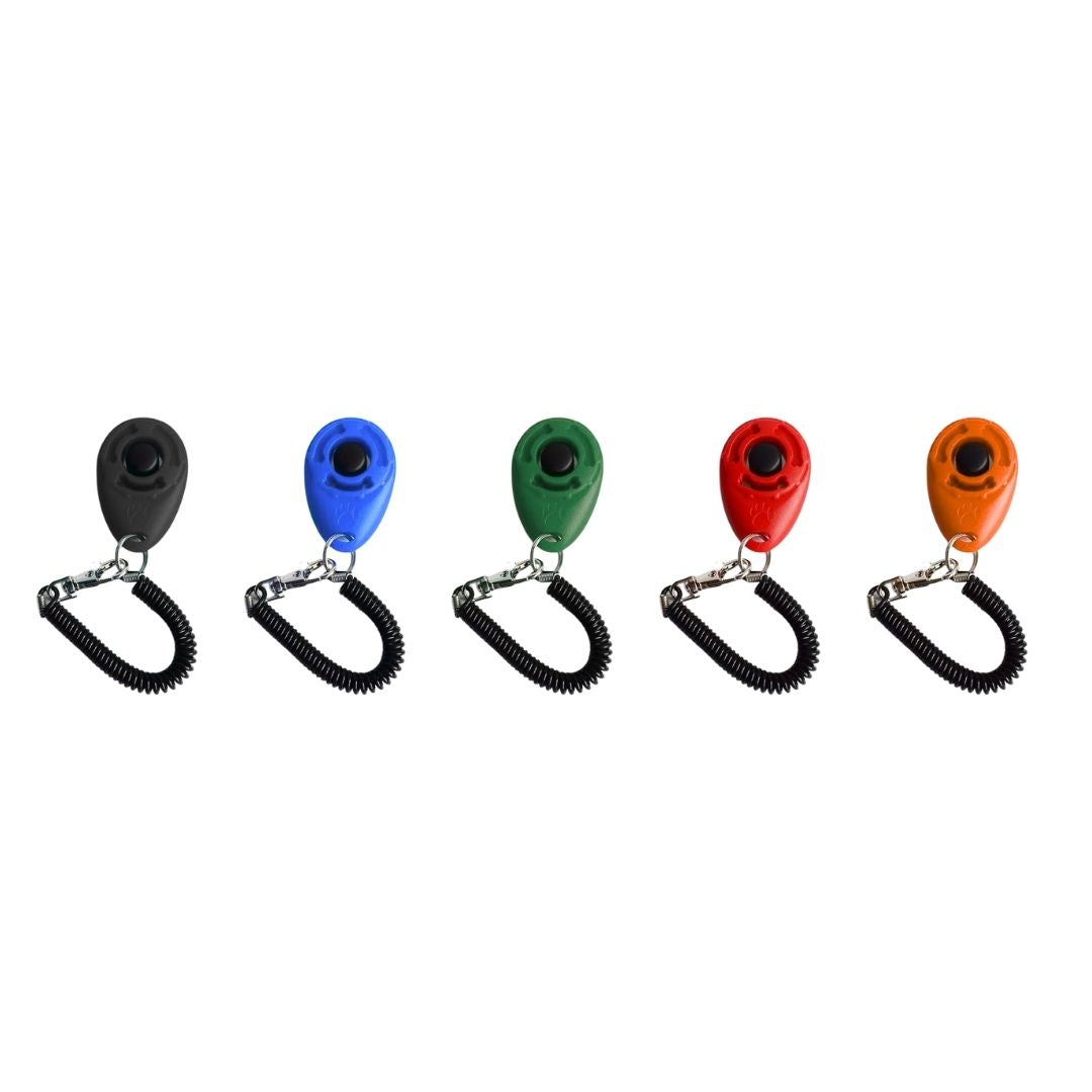 Dog clicker/clicker