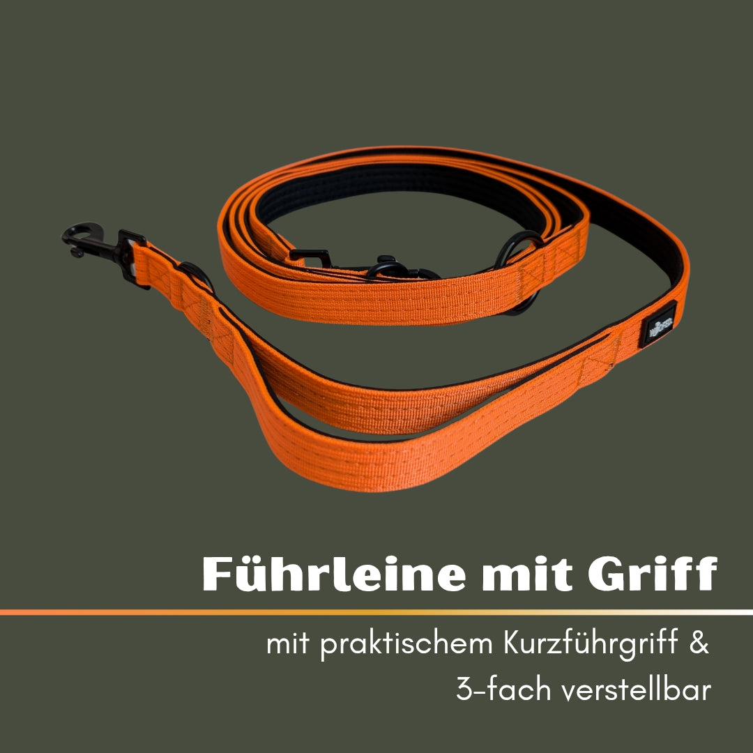 Nylon Classic Führleine Safety Orange