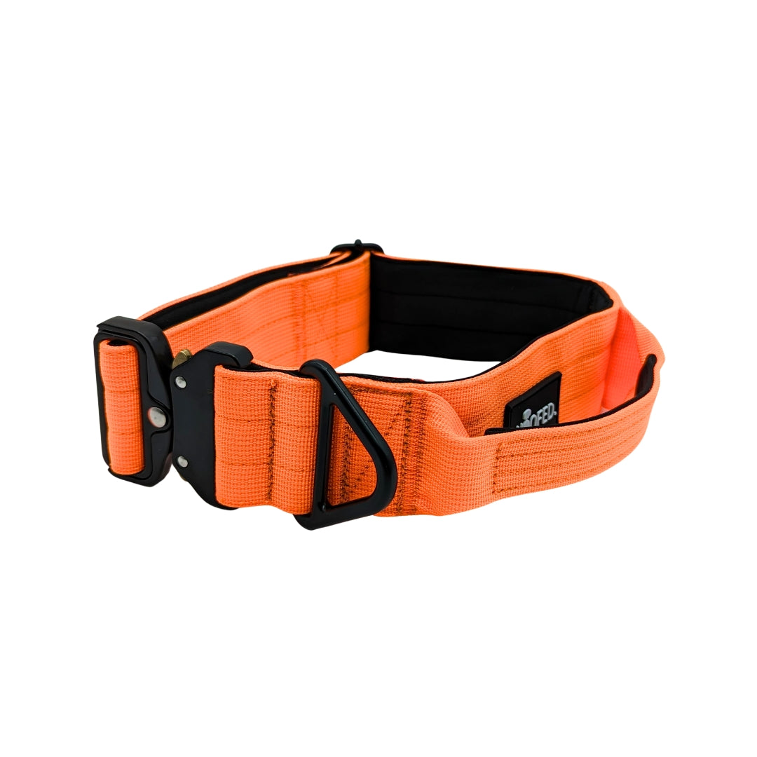 taktisches Nylon Halsband Safety Orange