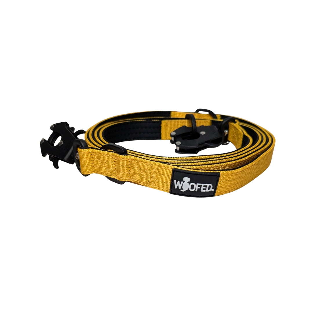 taktische Nylon Führleine Sunset Yellow
