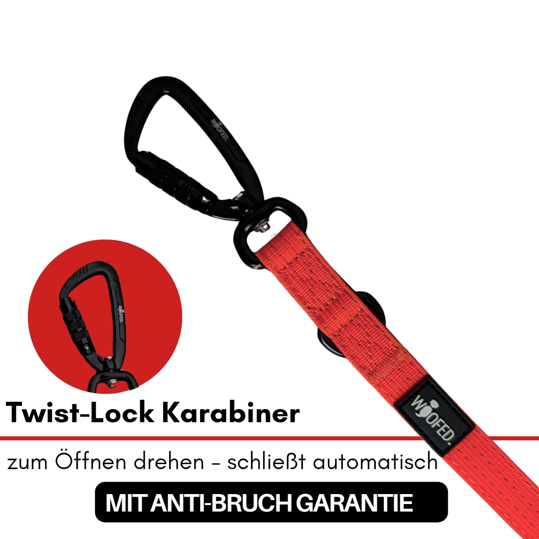 Nylon Pro Führleine Rosso Red